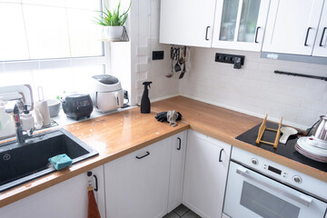 General cleaning in the kitchen, surface cleaning and grease removal products, a mess