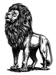 Lion Victorian engraving, profile with layered fur shading