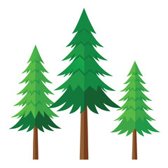 Spruce trees icon on white background 