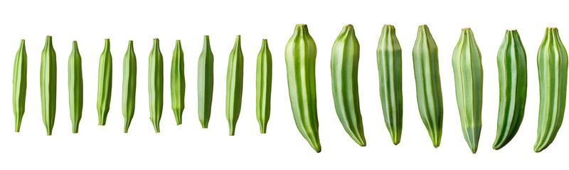 Set of fresh green okra or lady's fingers selling on a transparent background