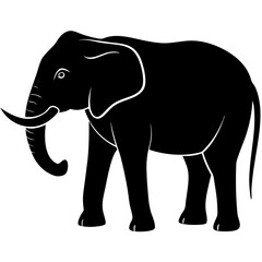 elephant isolated on white