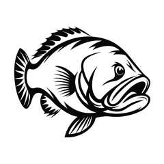 Black and White Tilapia Fish Illustration, Detailed Fins, Aquatic Wildlife Icon