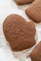 Pale Gingerbread Cookies a festive holiday treat crafted step by step