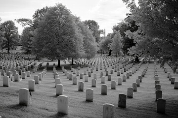 Emotional Black and White of Arlington National Cemetery