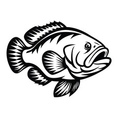 Monochrome of Fish with Detailed Fins and Scales on Isolated White