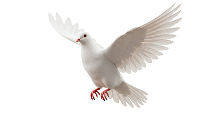 Fototapeta premium 3D white pigeon flying with open wings isolated on white background, suitable for freedom-related themes, peaceful event visuals, and spiritual or symbolic representation illustrations
