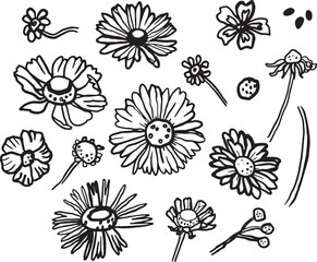 Fototapeta premium Vector hand drawn outline set of flower icons