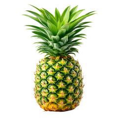 Fototapeta premium A single pineapple with green leaves isolated on a white background.