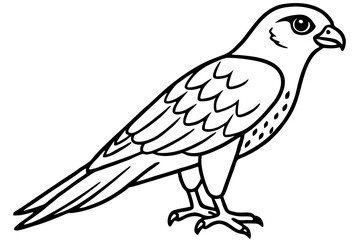 Elegant Kestrel Outline