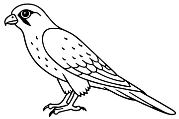Elegant Kestrel Outline
