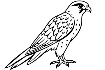 Elegant Kestrel Outline