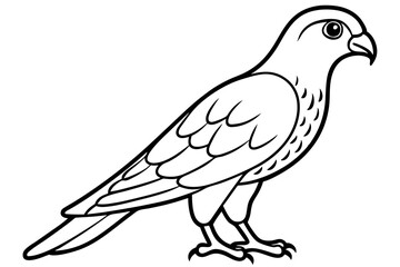 Elegant Kestrel Outline