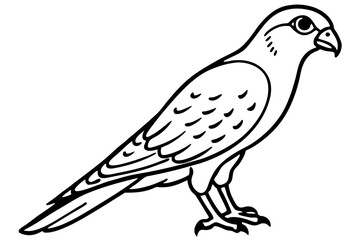 Elegant Kestrel Outline