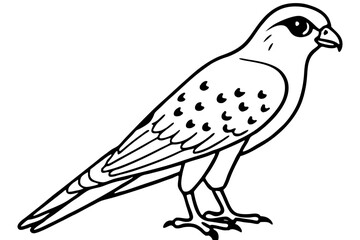 Elegant Kestrel Outline