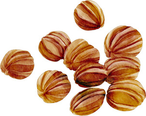 watercolor walnut