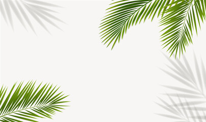 Eco Frame With Green Palm Tree Leaves