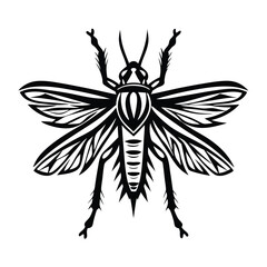 Detailed Black Silhouette of an Insect on White Background Intricate Wing Design