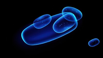 Abstract representation of biological structures, possibly cells or molecules, in a glowing blue hue against a black backdrop.  A series of translucent, rounded shapes are interconnected