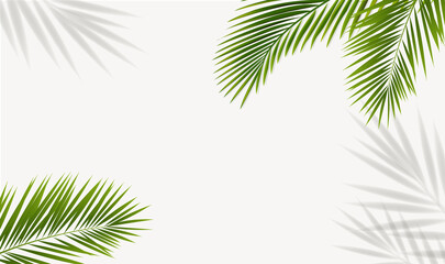 Fototapeta premium Eco Frame With Green Palm Tree Leaves