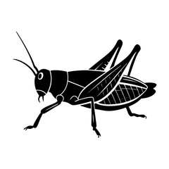 Grasshopper Silhouette vector illustration