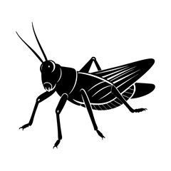 Grasshopper Silhouette vector illustration