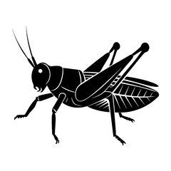 Grasshopper Silhouette vector illustration