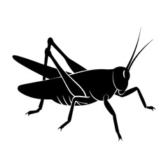 Grasshopper Silhouette vector illustration