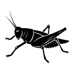 Grasshopper Silhouette vector illustration