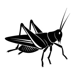Grasshopper Silhouette vector illustration