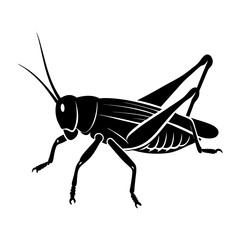 Grasshopper Silhouette vector illustration