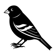 Goldfinch Silhouette vector illustration