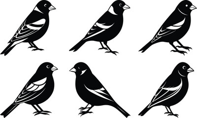 Goldfinch Silhouette vector illustration