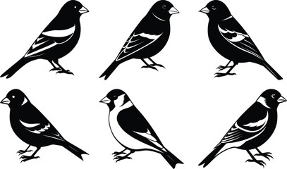 Goldfinch Silhouette vector illustration