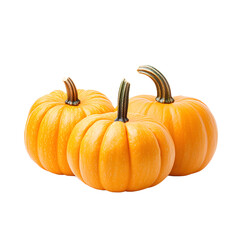 Obraz premium Three orange pumpkins with stems isolated on a white background.