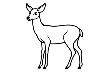 Fototapeta premium Standing Deer Line Art vector illustration