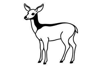 Standing Deer Line Art vector illustration
