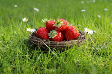 Erdbeeren Korb