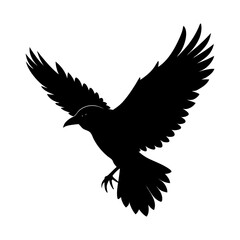 Obraz premium Flying Crow Silhouette vector illustration