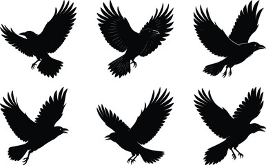 Flying Crow Silhouette vector illustration