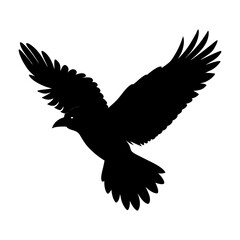 Flying Crow Silhouette vector illustration