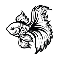 Elegant Betta Fish Illustration, Intricate Fins, Aquatic Animal Silhouette, Black and White