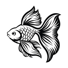 Stylized Black & White Goldfish with Flowing Fins, Isolated on White Background