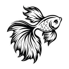 Fototapeta premium Ornamental Betta Fish Illustration, Black and White Tattoo Style Design, Aquatic Animal