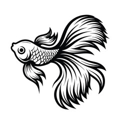 Black and White Betta Fish Illustration, Detailed Fins and Scales, Aquatic Creature