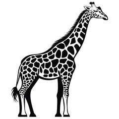 Standing Giraffe Silhouette Isolated, Black and White Art, Tall African Animal Design