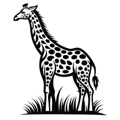 Naklejka premium Giraffe Standing in Grass, Black and White Silhouette, African Wildlife, Tall Neck, Spots