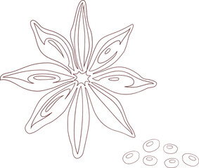 Simple line illustration of star anise spice with detailed seed pods and individual seeds on white background.