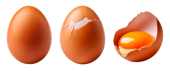 group of a whole chicken egg and cracked eggs isolated on white background