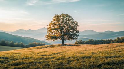 Photo of a lone tree in the rolling hills near Bieszczady, Poland with distant mountains at sunrise. © Fatema