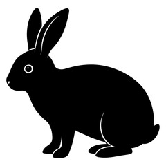 Fototapeta premium Vector illustration of a rabbit on white background